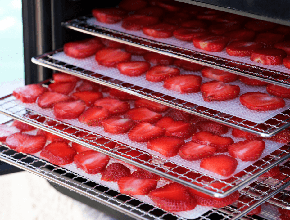 DESHIDRATADOR SECADOR HORNO ELÉCTRICO DE ALIMENTOS, VEGETALES, FRUTAS - 12 BANDEJAS - PROVISTOCK - Soluciones Diversas